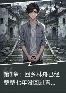 青云镇的记忆小说(连载文)-林舟宋婉无广告阅读