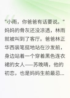 抖音小说林雨苏晚晴林雨苏晚晴无弹窗试读