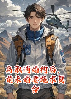 高取消婚约后，前未婚妻跪求复合无广告阅读 林薇王鹏免费在线阅读