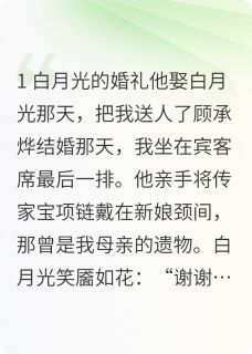 抖音他娶白月光那天，把我送人了by苏枕猫在线阅读