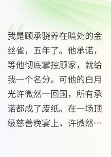顾承骁许微然傅慎言全本章节在线阅读大结局