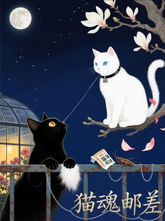猫魂邮差by风灵砚