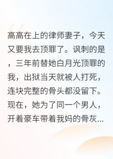 妻子跪求我为情敌顶罪小说(完本)-苏晴然江盛唐浩川无错版阅读-暗夜阅读网