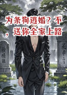 为条狗逃婚？不，送你全家上路小说(完结)-苏婉陆鸣苏坤无删减阅读