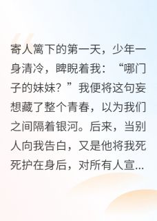 念念不屿大结局阅读 傅时屿苏念小说在线章节