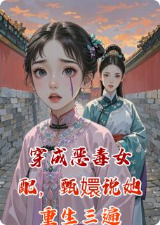 （全本）穿成恶毒女配，甄嬛说她重生三遍主角甄嬛流朱全文目录畅读-暗夜阅读网