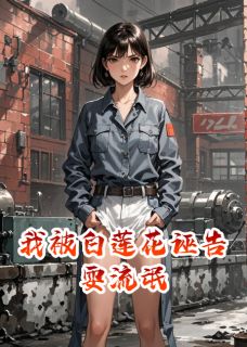 我被白莲花诬告耍流氓(钱小琴高建军苏晚)全文章节在线阅读-暗夜阅读网
