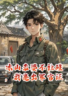 好书推荐冰山老婆不让碰，我亮出军官证苏晚晴刘美兰全文在线阅读