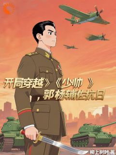 开局穿越少帅：郭杨辅佐抗日小说百度云完整章节列表免费阅读