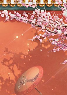 重生后，我杀尽丈夫全家知乎后续免费试读-暗夜阅读网
