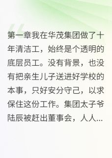 陆辰小宇全本小说 清洁工妈妈的逆袭人生全文免费在线阅读