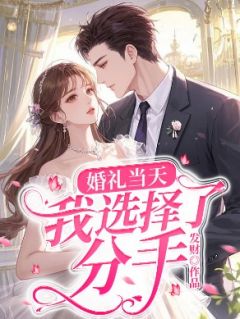 婚礼当天，我选择了分手谢时桉许然然许婉欣-发财小说-暗夜阅读网