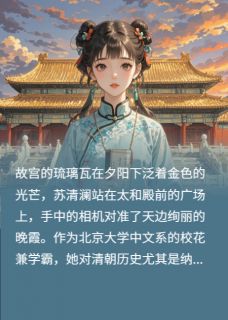 主角是纳兰王澜之兰容若的小说叫什么梦回纳兰词免费全文阅读-暗夜阅读网