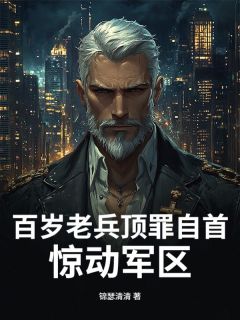 好看的百岁老兵顶罪自首，惊动军区小说-百岁老兵顶罪自首，惊动军区最新章节阅读