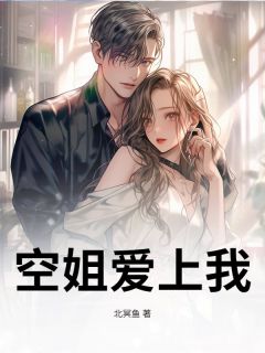 空姐爱上我by北冥鱼免费阅读小说大结局
