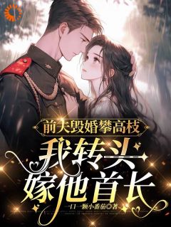 前夫毁婚攀高枝，我转头嫁他首长完整版免费阅读，顾蕴宁陆凛小说大结局在哪看-暗夜阅读网