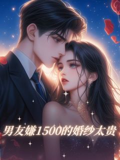 主人公文豪小洁苏雅在线免费试读男友嫌1500的婚纱太贵最新章节列表