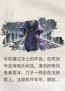 边陲迷局，雪域孤城（沈辞魏雄）精彩小说目录阅读