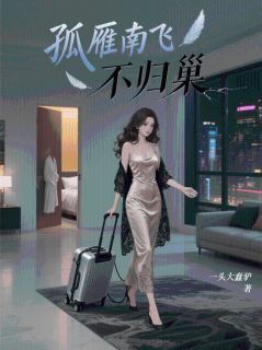 抖音孤雁南飞不归巢by一头大蠢驴在线阅读-暗夜阅读网