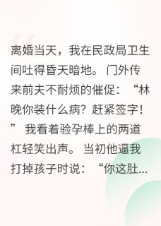 林晚陆明远完整未删减版在线阅读 林晚陆明远结局