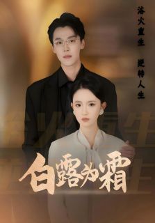 白露为霜（秦少川白露）精彩小说目录阅读