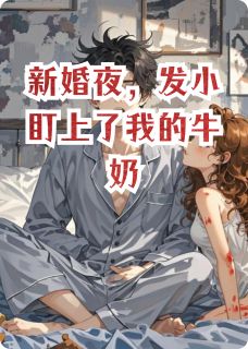 新婚夜，发小盯上了我的牛奶(沈溪苏巧儿陆晨)最新章节试读-暗夜阅读网