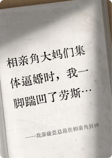 陆沉舟晚晚我靠碰瓷总裁在相亲角封神小说完整版