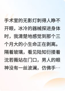 独家曾经的爱,陆知衍小说-主角陆知衍沈若薇林慕宇全文免费阅读
