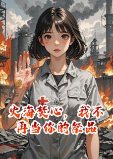 (热推新书)火海焚心，我不再当你的祭品沈庭澜苏晚晴江禾无弹窗阅读-暗夜阅读网