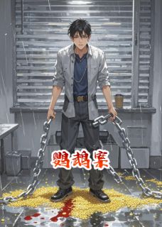 鹦鹉案叶晴林风无广告在线阅读-暗夜阅读网