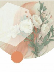 重生后我撕碎恶婆家的画皮(张明李桂花张晓芳)小说全章节目录阅读