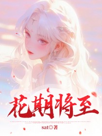 花期将至季默晟林照原沈岁宁小说全文阅读