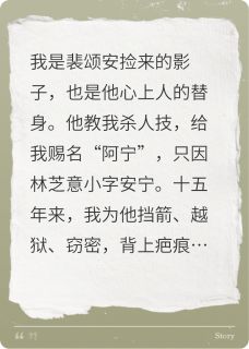 抖音裴颂安阿宁林芝意小说叫什么名字