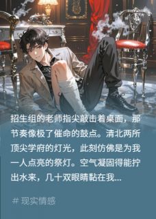 苏晚陆宇沈砚完整未删减版在线阅读 苏晚陆宇沈砚结局