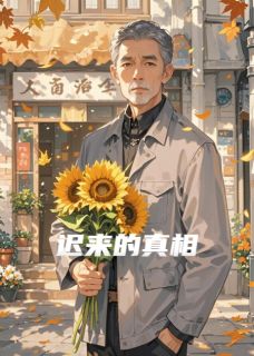 书荒必备林晚林念小说-暗夜阅读网