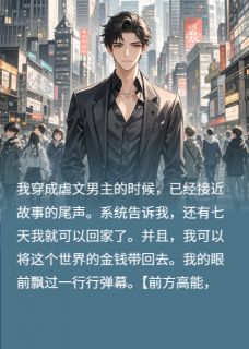 熬夜也要看完的穿成虐文男主，主动离婚弹幕炸了小说推荐