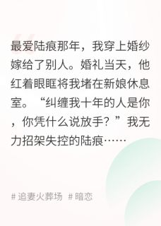 主角是陆晴江暮诺诺的小说叫什么夜来风雨声免费全文阅读