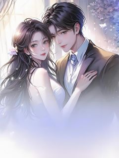 热文趁着老婆出轨时，我赚了300万小说-主角苏晴赵磊全文在线阅读-暗夜阅读网