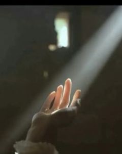盛明珠江泽主角抖音小说繁华落尽，归来亦是明珠在线阅读