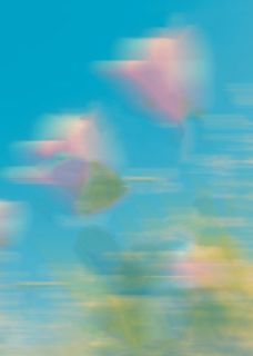 独家公公命悬一线，我却拿他救命药换豪车全本大结局小说阅读