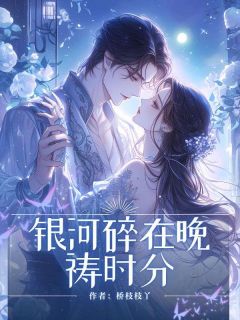 林晚星陆昭野白渺小说<银河碎在晚祷时分>全文在线阅读-暗夜阅读网