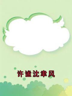 (独家)许谧沈聿风许谧沈聿风小说