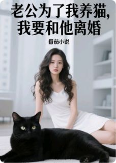 周辰友林若曦是哪部小说的主角 老公为了我养猫，我要和他离婚全文无弹窗