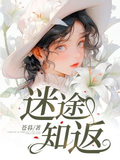 迷途知返(苍暮小说)小说最新章节