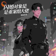 闪婚对象是重案组大佬林晚陈锋小说全文章节阅读