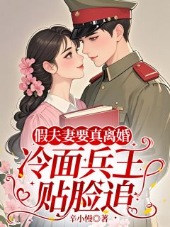 假夫妻要真离婚，冷面兵王贴脸追by辛小慢小说完结版在线阅读