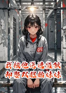 我被他送进监狱却娶双胞胎妹妹(陈夜苏晴)全文章节在线阅读
