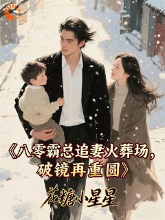 八零霸总追妻火葬场，破镜再重圆by花糖小星星免费阅读小说大结局