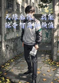 天降系统，我能掠夺智商和颜值免费小说作者口无言全文阅读-暗夜阅读网