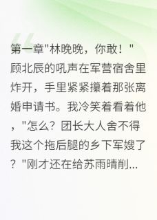 回到七零，我让军官老公下跪求婚顾北辰晚晚苏雨晴全本小说（回到七零，我让军官老公下跪求婚）全章节小说目录阅读
